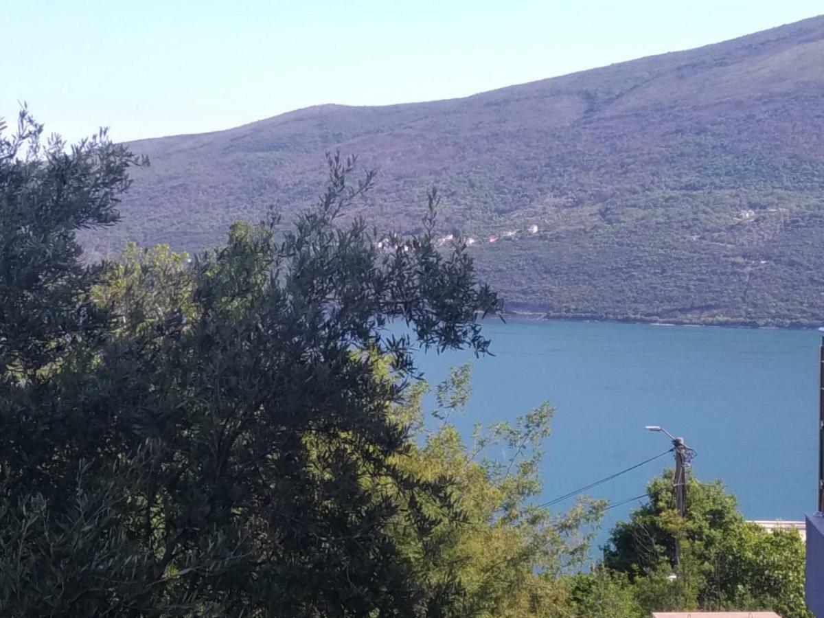 Apartments Acacia Hill Ðenovići Zewnętrze zdjęcie