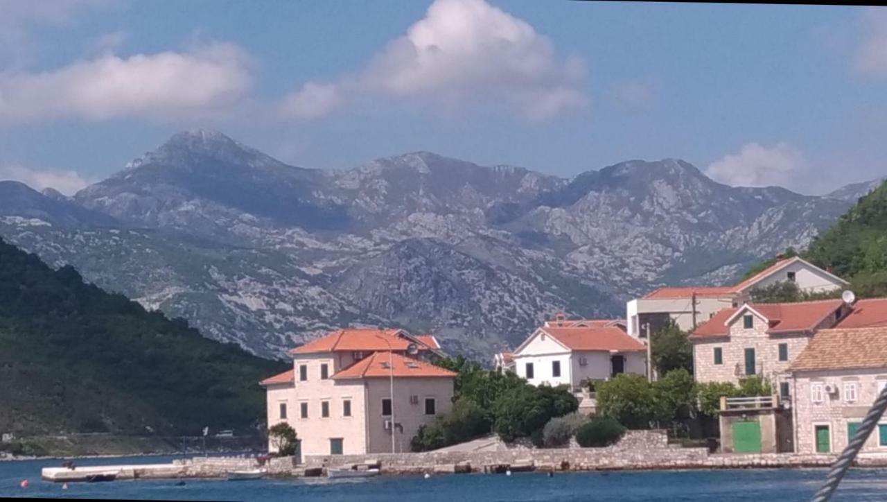Apartments Acacia Hill Ðenovići Zewnętrze zdjęcie
