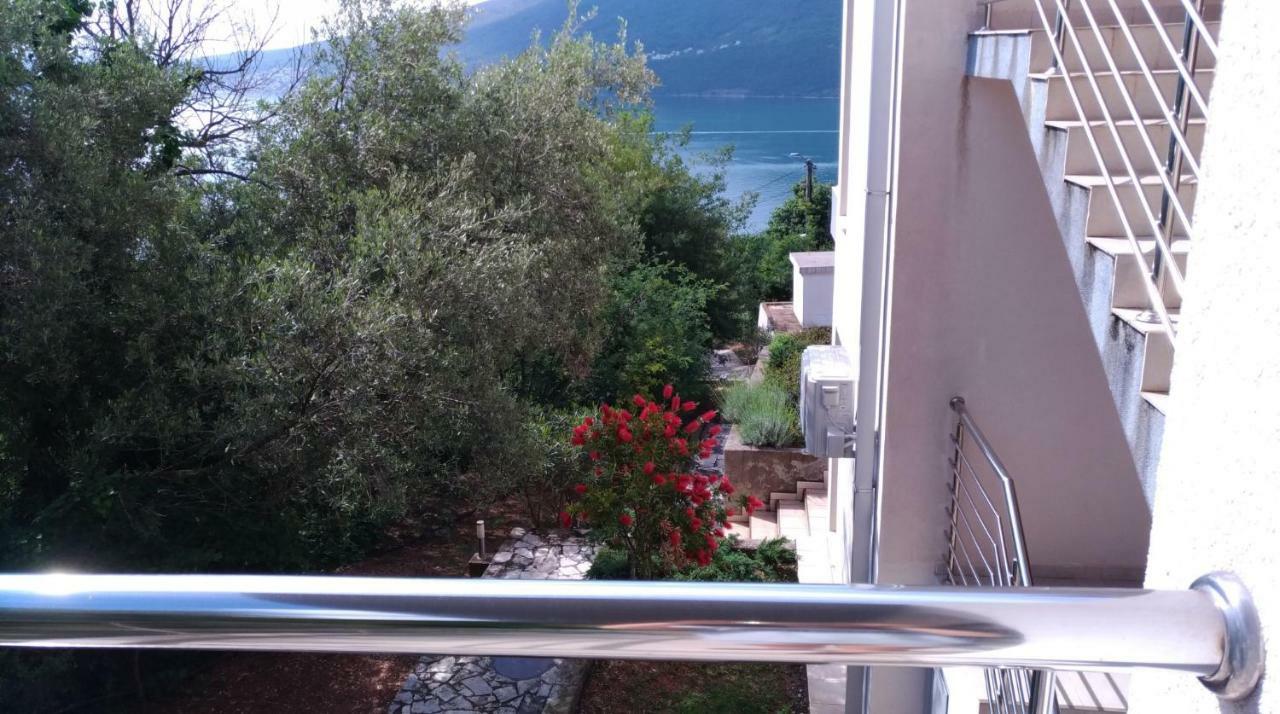 Apartments Acacia Hill Ðenovići Zewnętrze zdjęcie